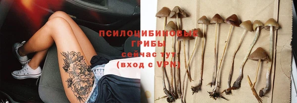 ГАЛЛЮЦИНОГЕННЫЕ ГРИБЫ Армянск