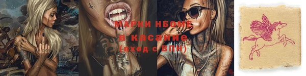 амф Арсеньев