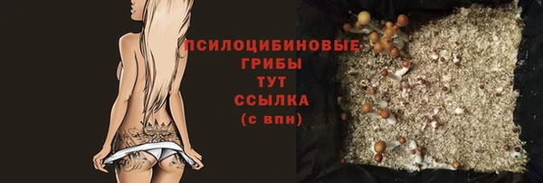 ГАЛЛЮЦИНОГЕННЫЕ ГРИБЫ Армянск